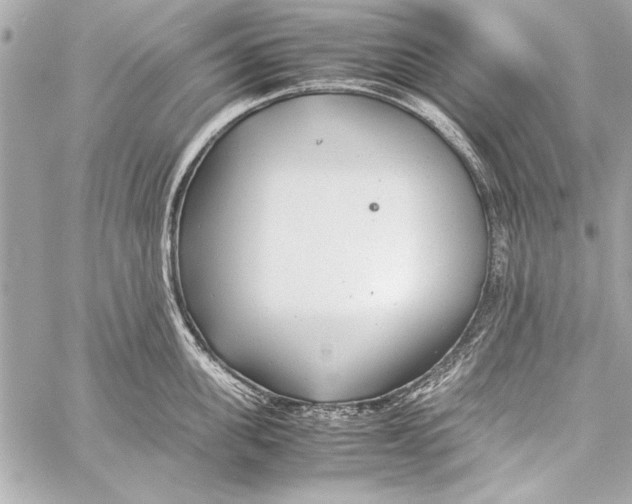 X0000057060955200510071403