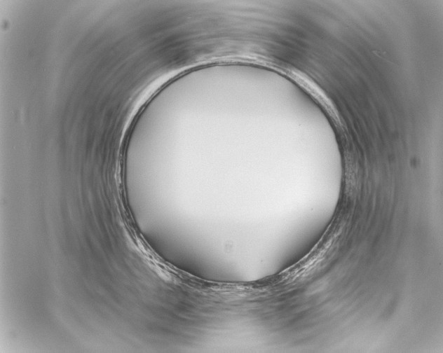 X0000057060956200510071403