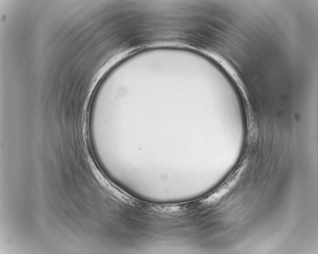 X0000057060957200510071403