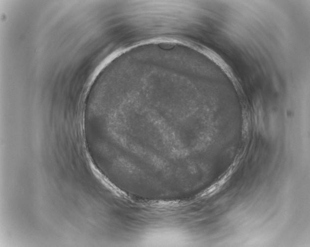 X0000057060958200510071403