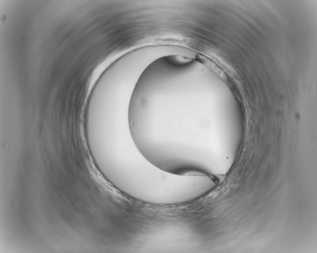 X0000057060960200510071403