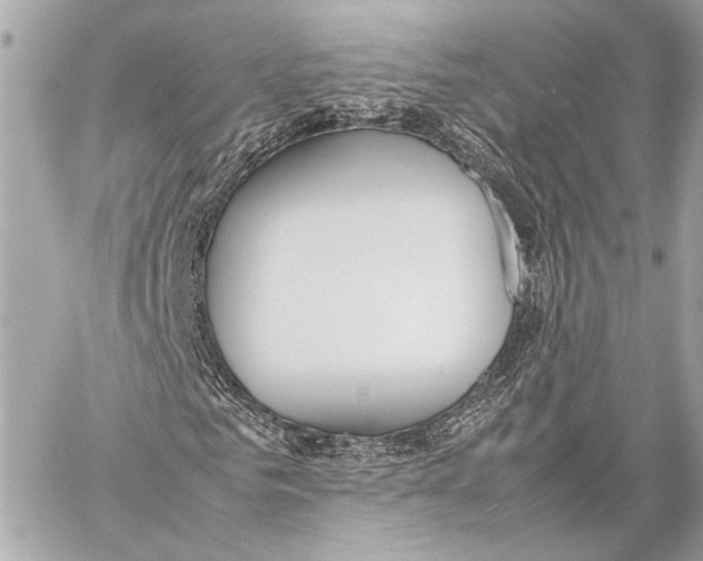 X0000057060961200510071402