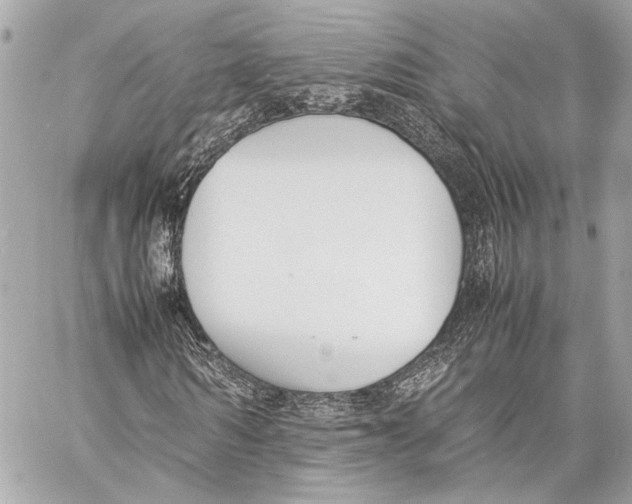 X0000057060962200510071402