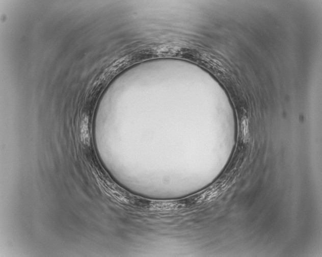 X0000057060963200510071402