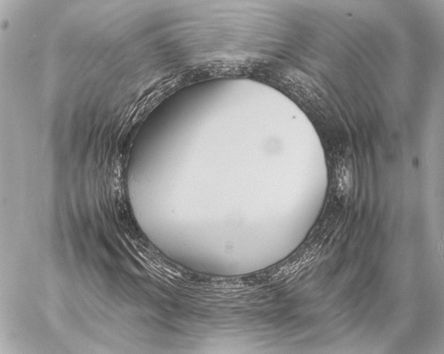 X0000057060964200510071402