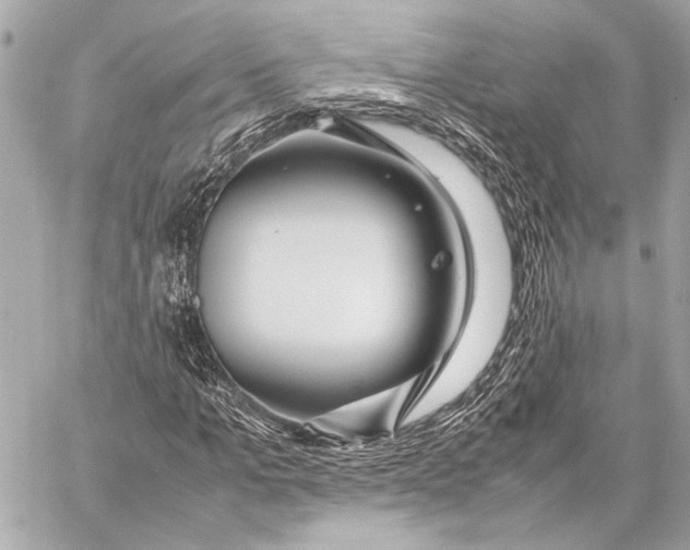 X0000057060965200510071402