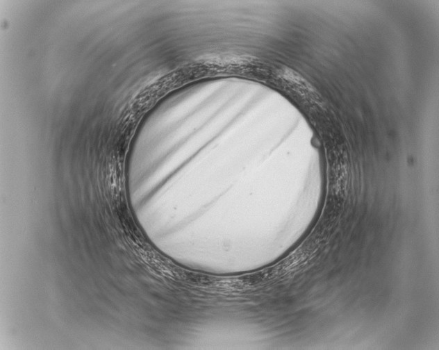 X0000057060966200510071402