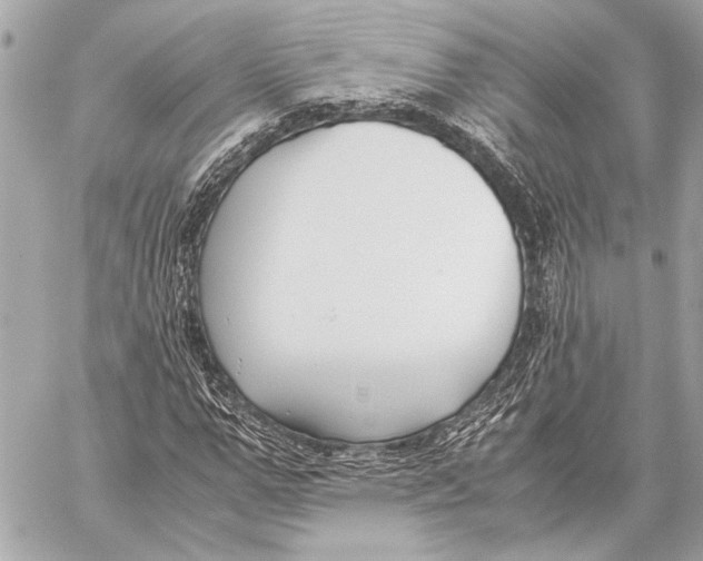 X0000057060967200510071402