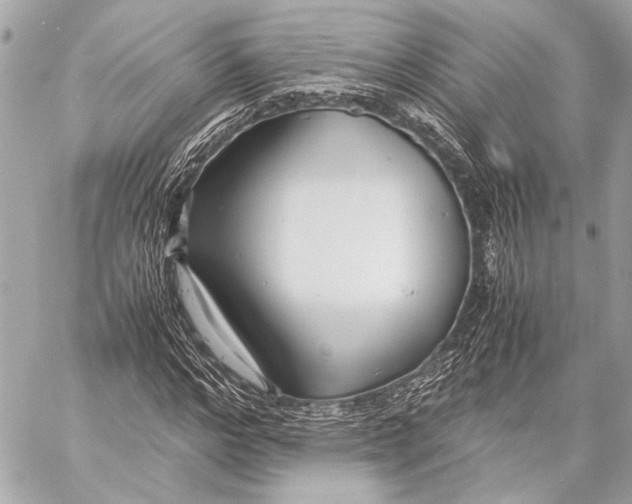 X0000057060968200510071402