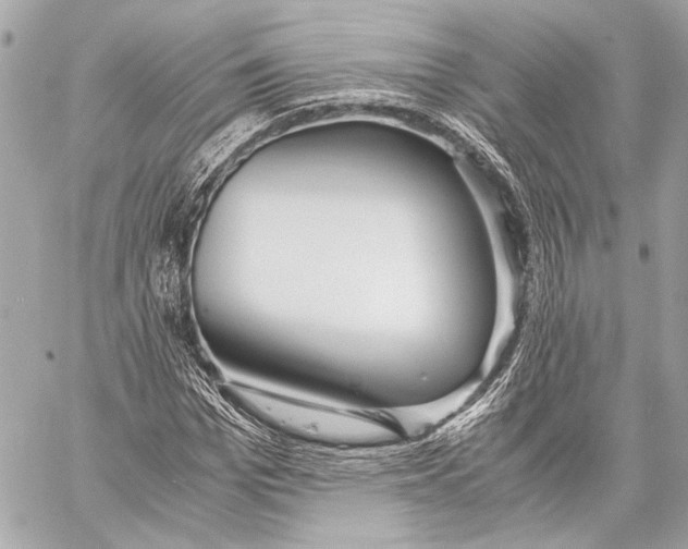 X0000057060969200510071402