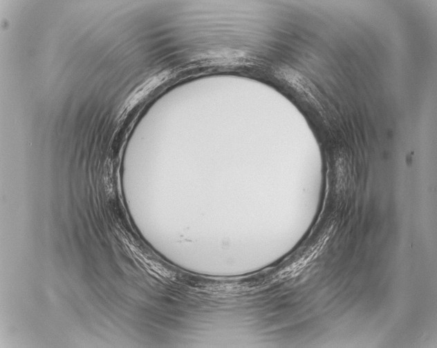 X0000057060970200510071402