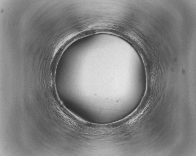 X0000057060973200510071402