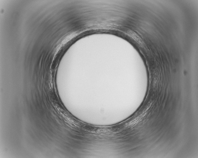 X0000057060974200510071402