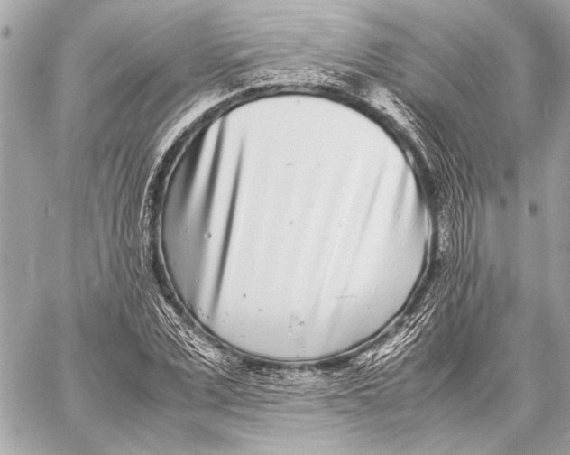 X0000057060975200510071402