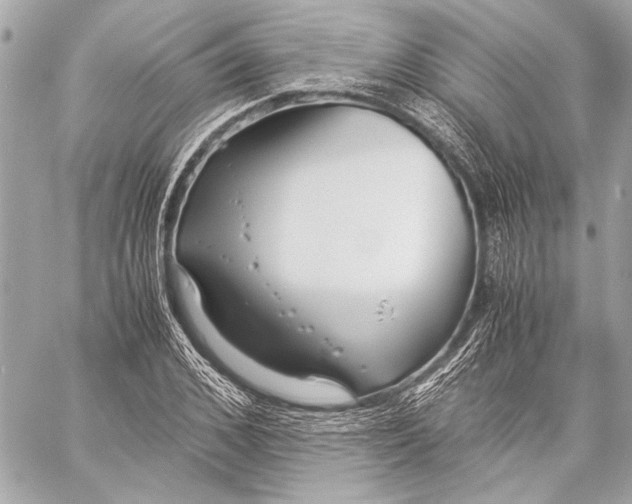 X0000057060976200510071402