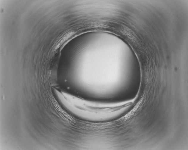 X0000057060977200510071402