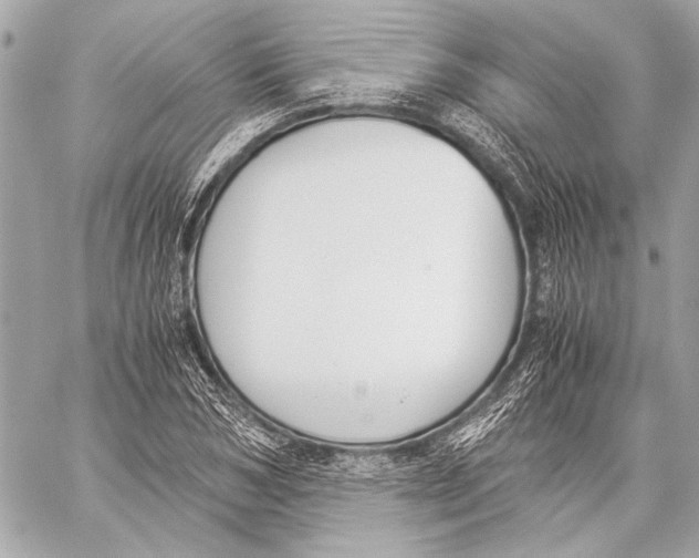 X0000057060978200510071402