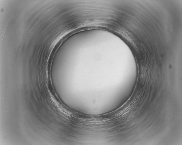 X0000057060980200510071402