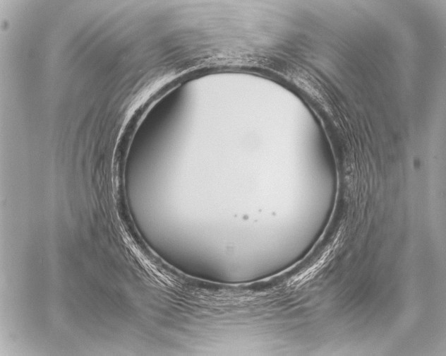 X0000057060981200510071402