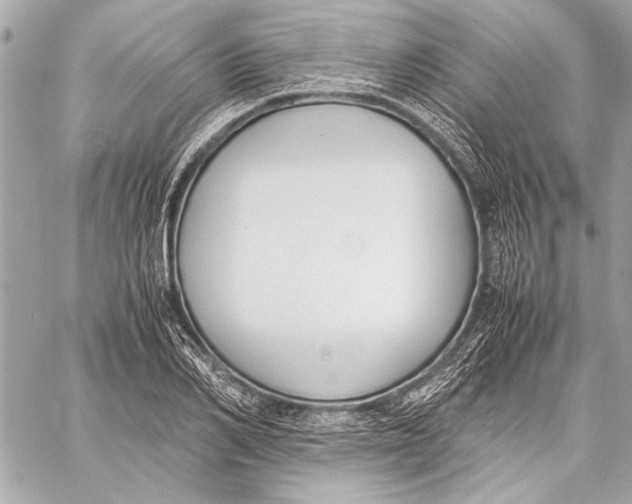 X0000057060982200510071402