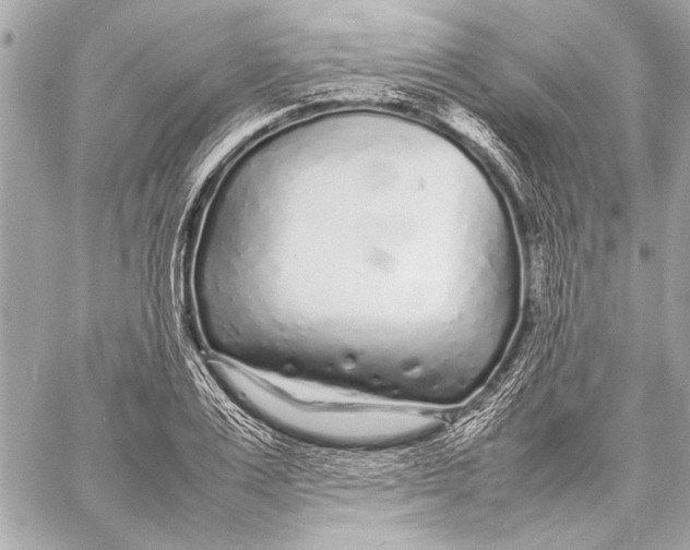 X0000057060983200510071402