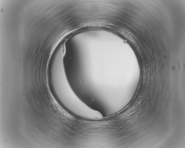 X0000057060984200510071402