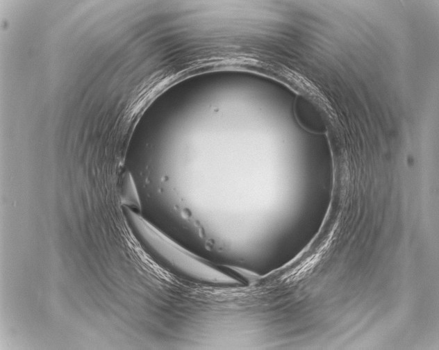 X0000057060985200510071402