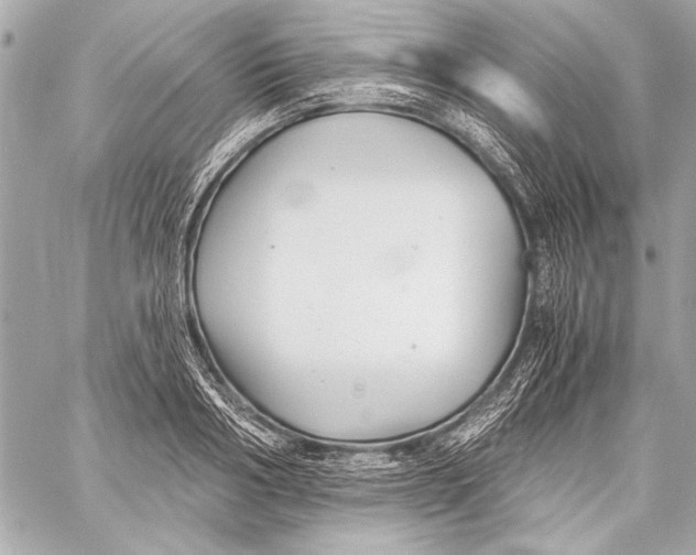 X0000057060986200510071402