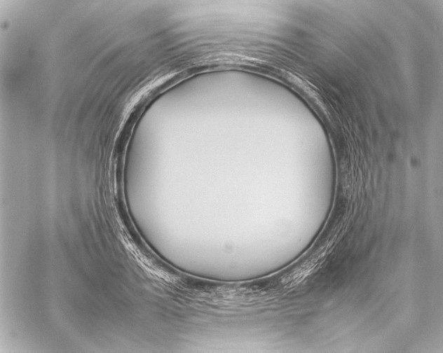 X0000057060987200510071402