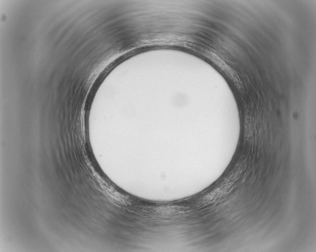 X0000057060988200510071402