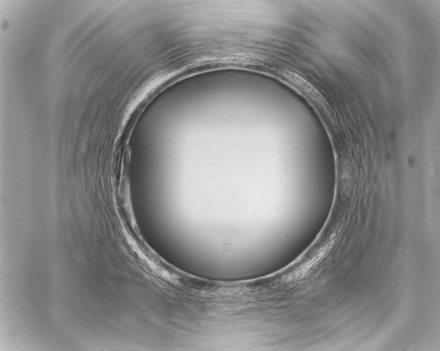 X0000057060989200510071402