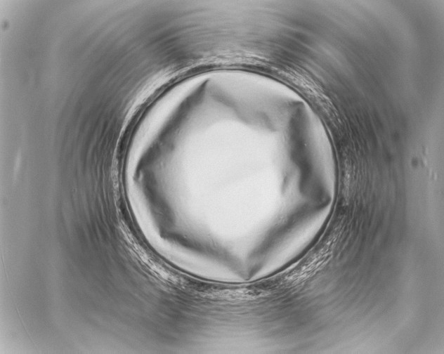 X0000057060990200510071402