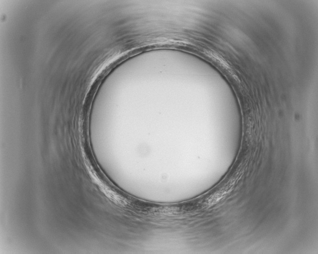 X0000057060991200510071402