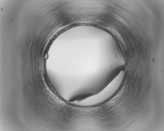 X0000057060992200510071402