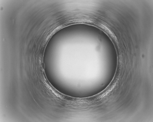 X0000057060993200510071402