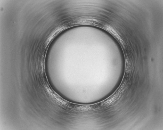 X0000057060994200510071402