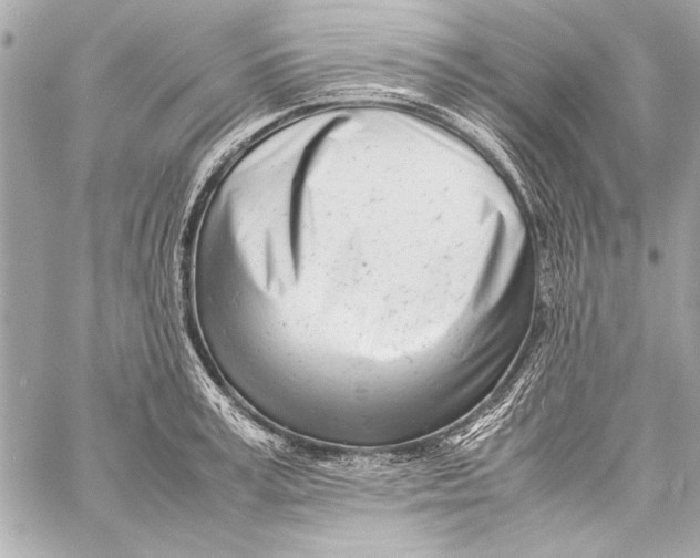 X0000057060995200510071402