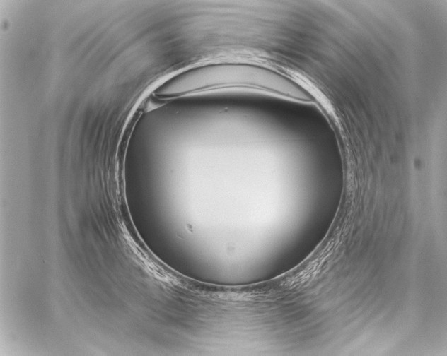 X0000057060996200510071402