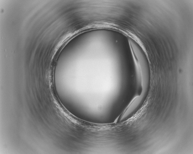 X0000057060997200510071402