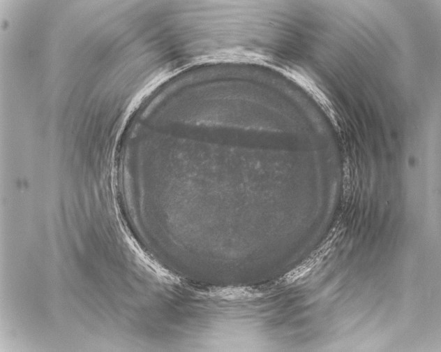 X0000057060998200510071402