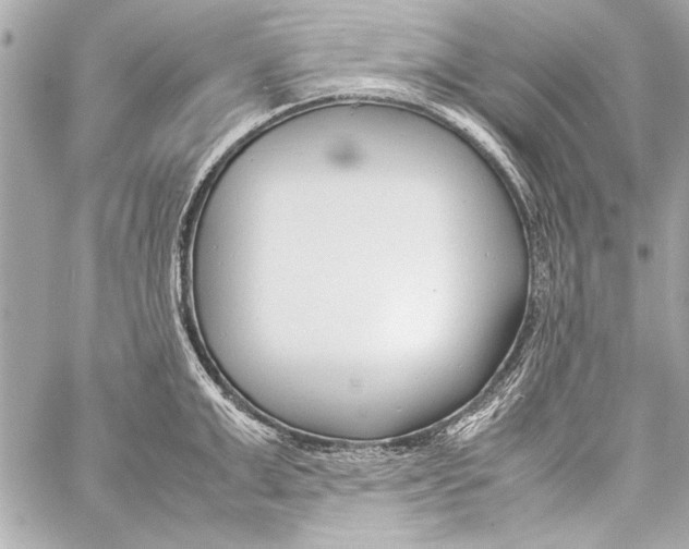 X0000057060999200510071402