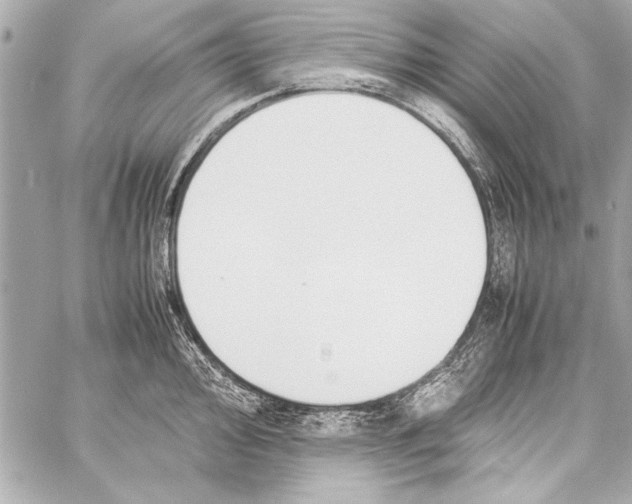 X0000057061000200510071402