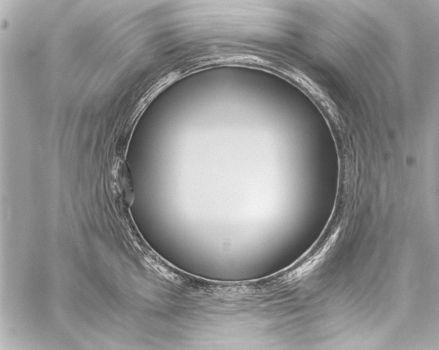 X0000057061001200510071402