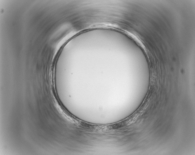 X0000057061003200510071402