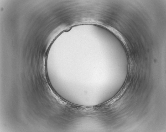 X0000057061006200510071402