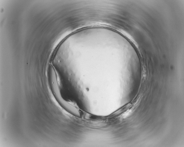 X0000057061007200510071402