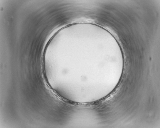 X0000057061008200510071402