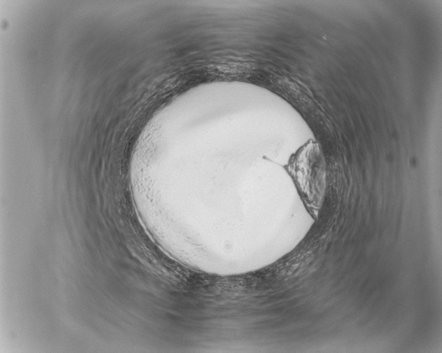 X0000057061009200510071401