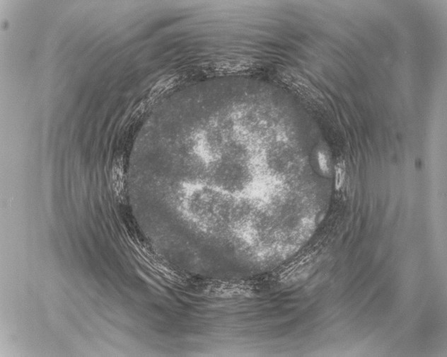 X0000057061011200510071401