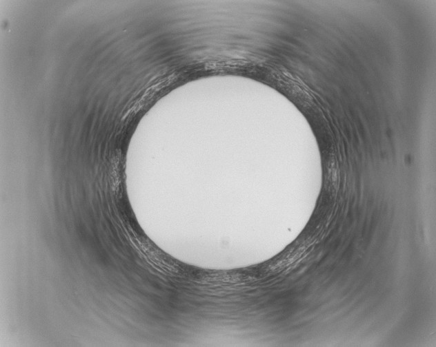 X0000057061012200510071401